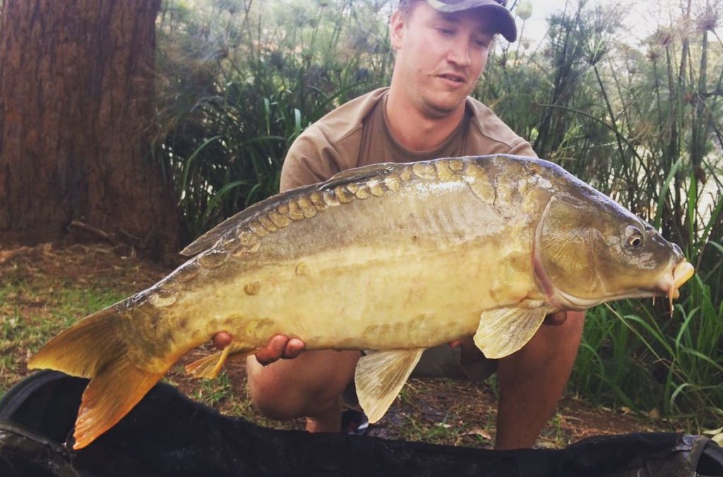 Carp Estates Sessions 2017