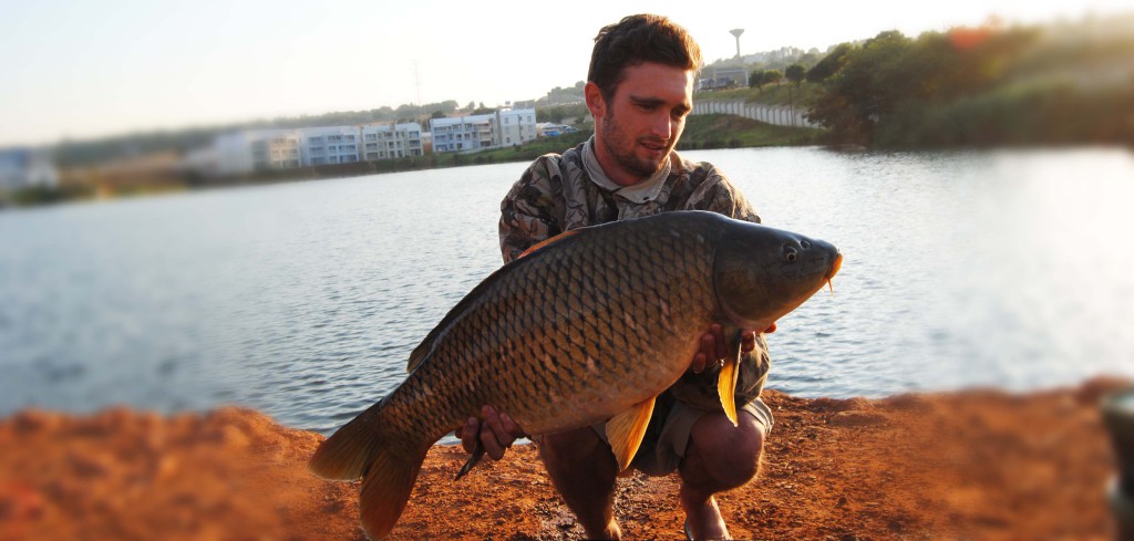 Freeway Carping – Carpocalypse